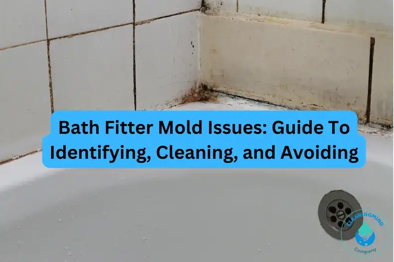 Bath Fitter Mold Issues