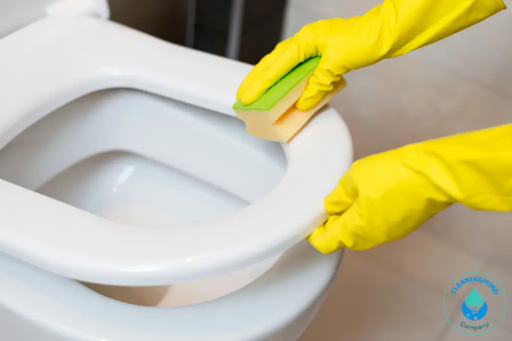How to Clean a Toto Toilet